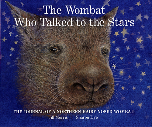 northern-hairy-nosed-wombat-01